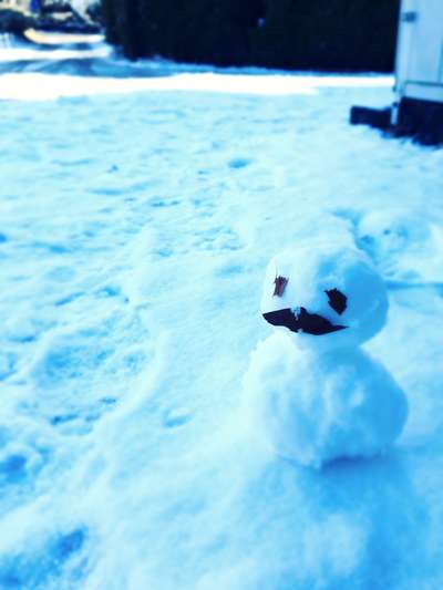 雪が積もりました