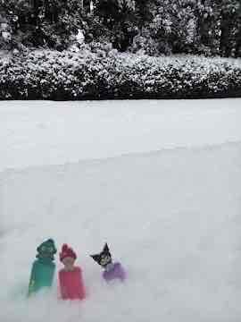 雪