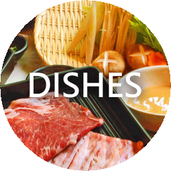 DISHES